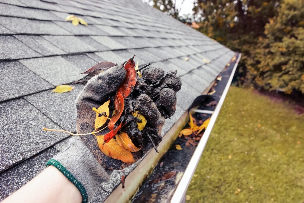 Clean the Gutters