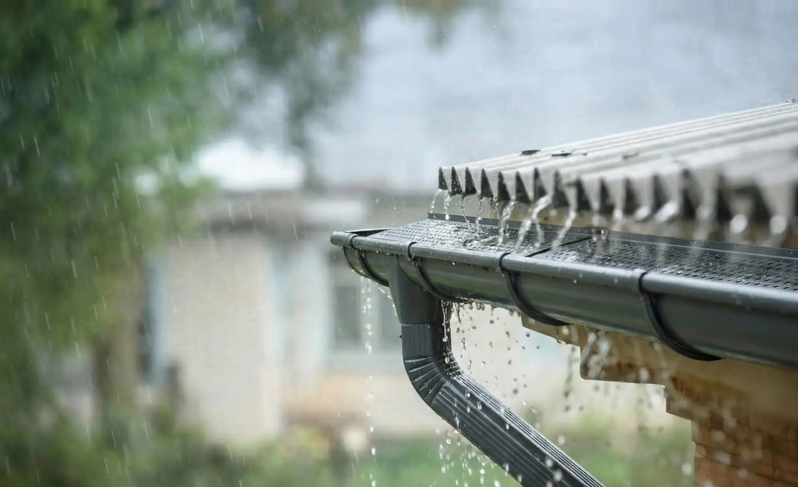 Gutter Overflow Roof Leak Newnan,