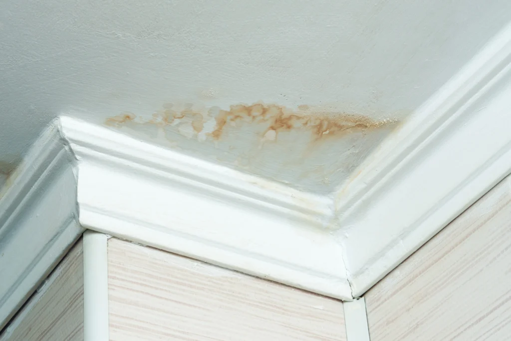 Signs of a Roof Leak